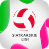 Siatkarskie Ligi